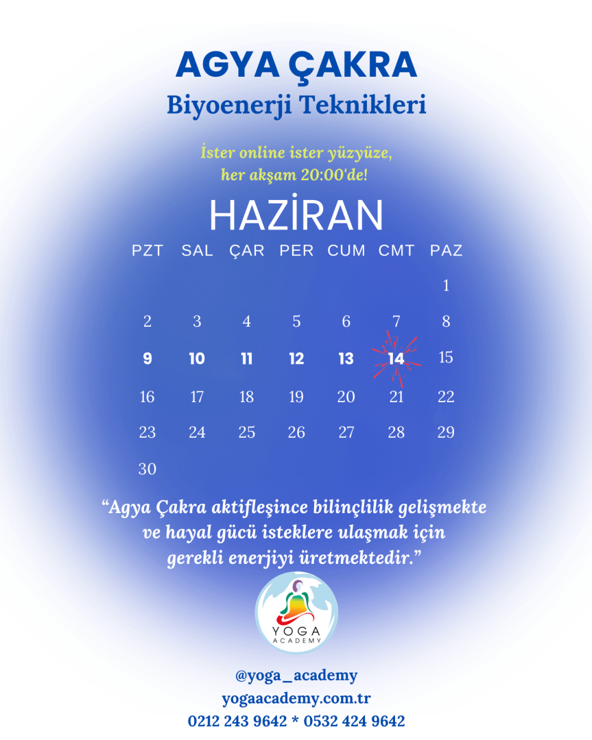 ÇAKRA ÇALIŞMALARI