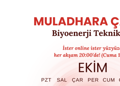 ÇAKRA ÇALIŞMALARI