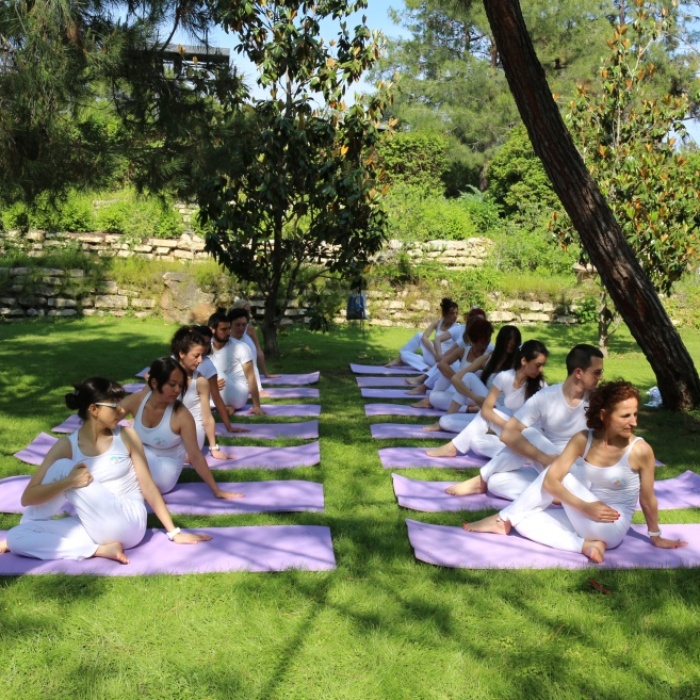 Yoga Terapi
